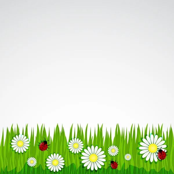 Fondo primavera con erba camomilla mbH — Vettoriale Stock
